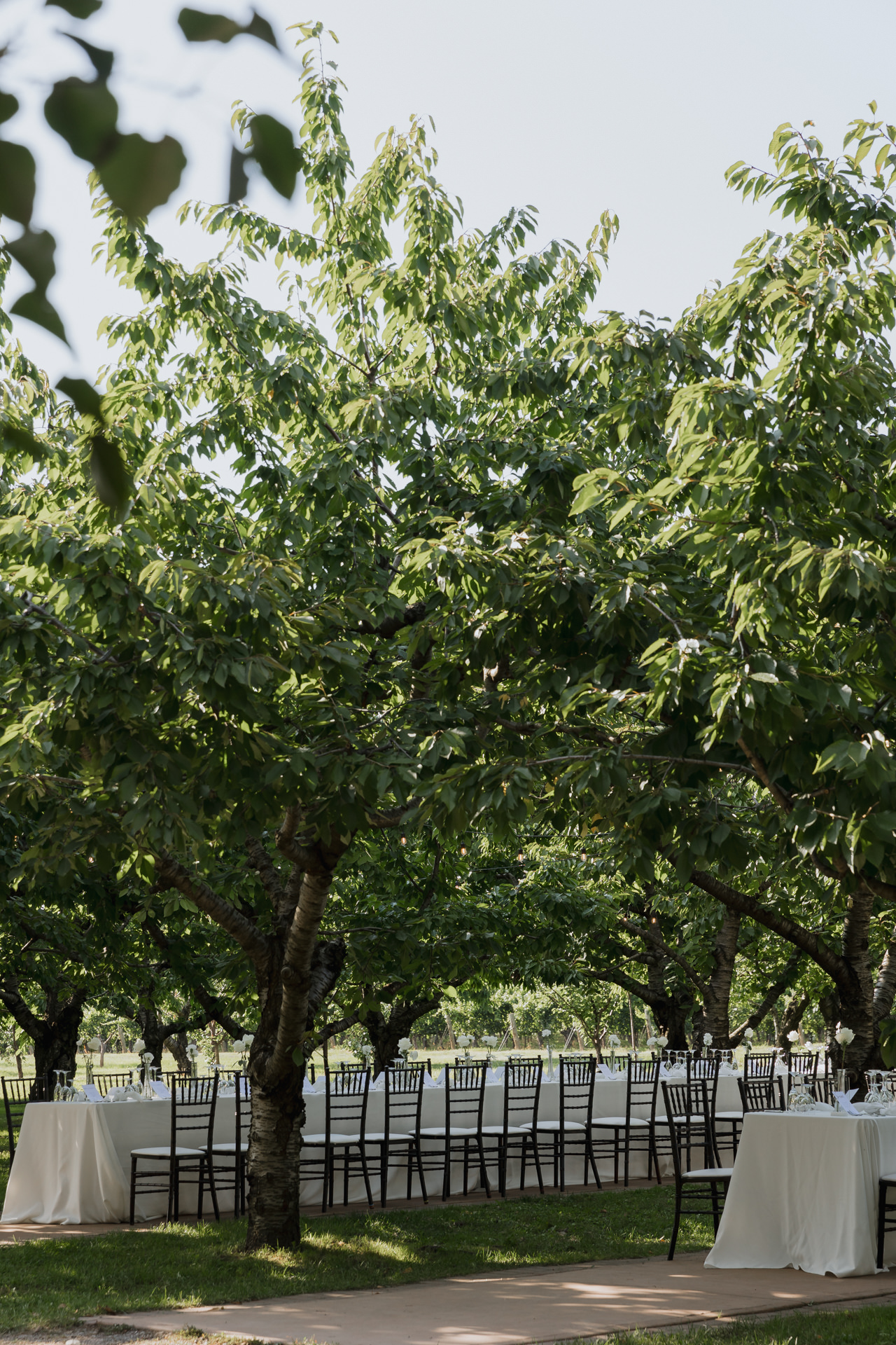 Real Wedding at Gracewood Estates Kurtz Orchards Niagara on the Lake - photos by Sonia V Photography