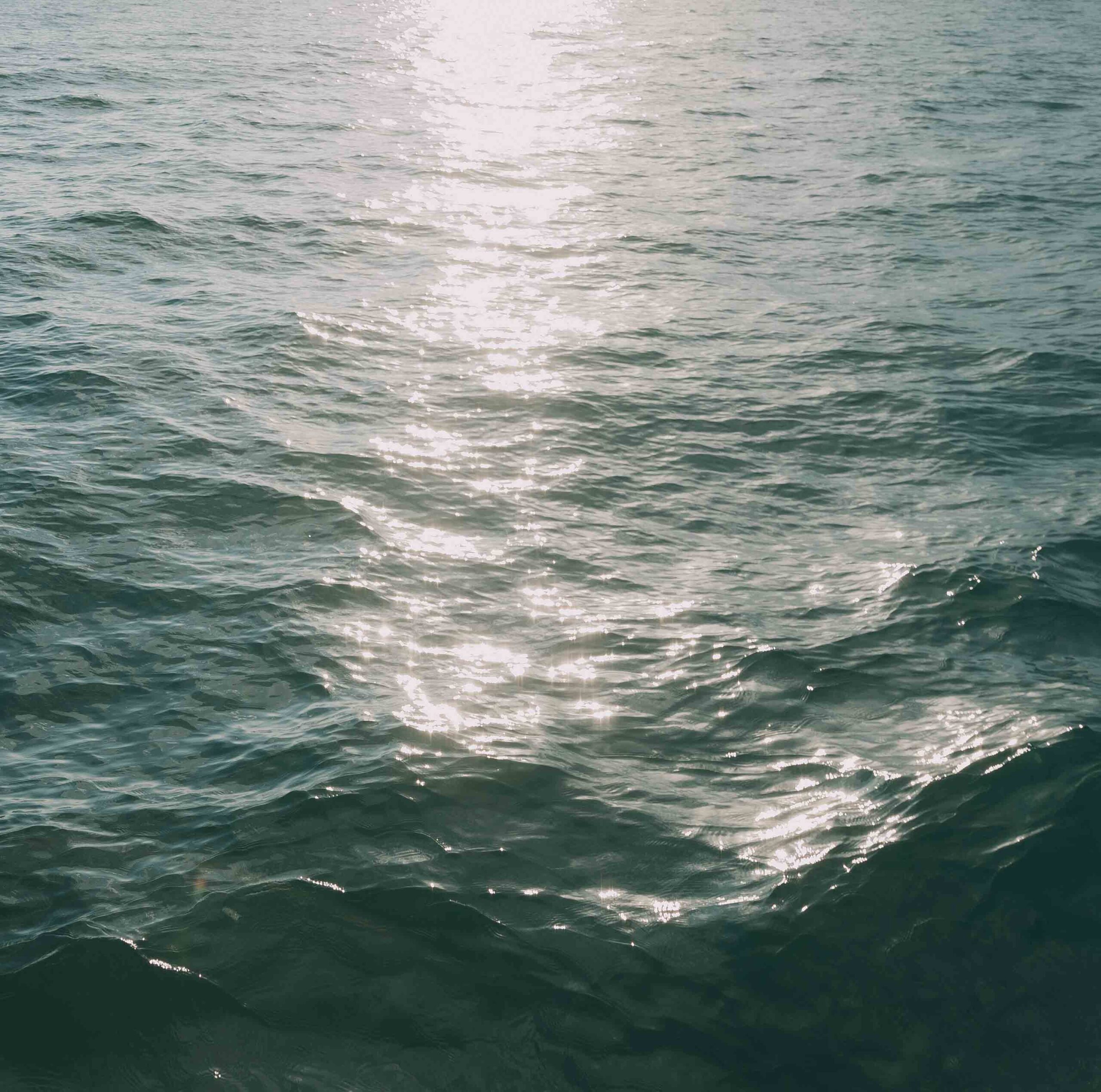 Sailboat Engagement Photos - Sonia V Photography