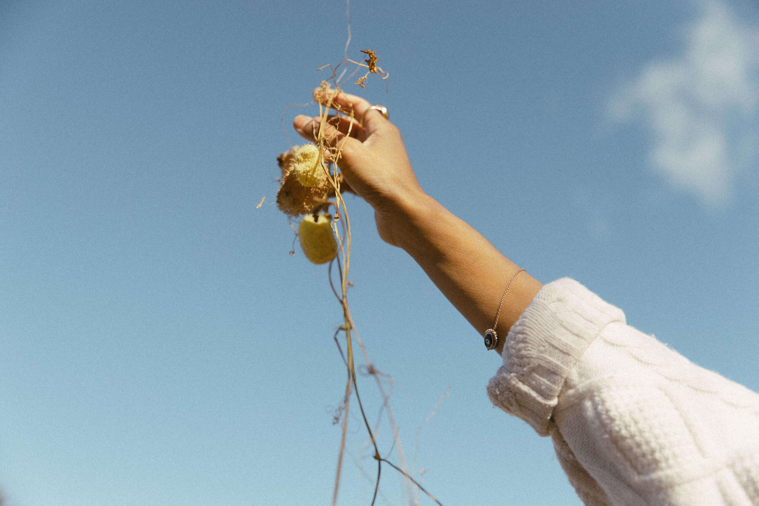 Personal Brand Shoot Inspiration on a farm - Sonia V Photography