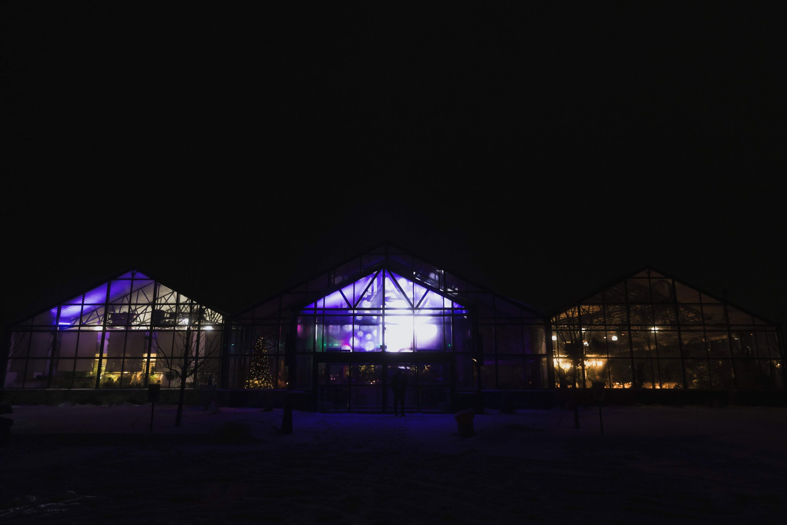 Snowy Winter Wedding With an All Black Dress Code at a Greenhouse - Sonia V Photography