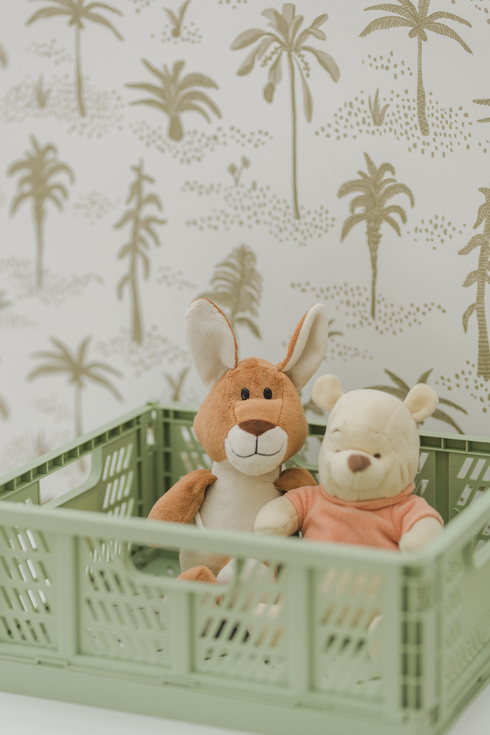 Jungle Themed Playroom - Sonia V Photography