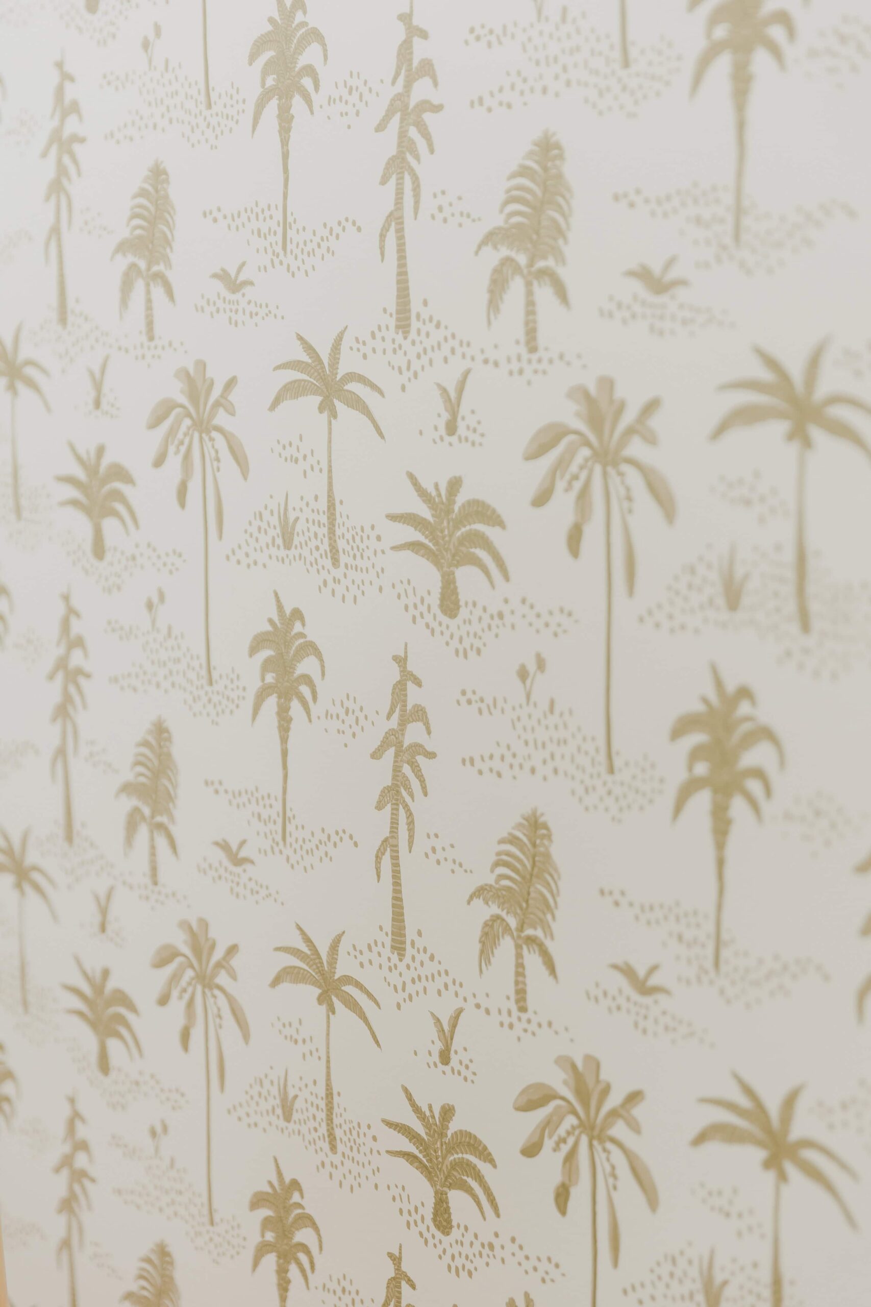 Jungle Themed Playroom - Sonia V Photography