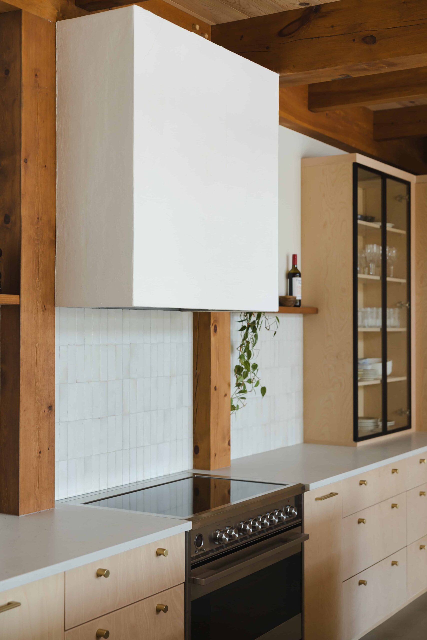 passive house design - Sonia V Photography